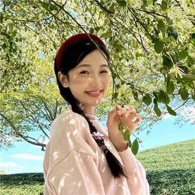 辛巴达历险